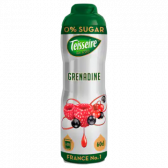 Teisseire Sugar free grenadine fruit syrup