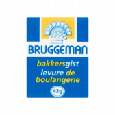 Bruggeman Bakkersgist
