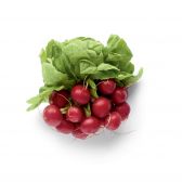 Delhaize Red radishes (at your own risk, no refunds applicable)