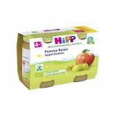 Hipp Biologische appelen 2-pack (vanaf 4 tot 6 maanden)