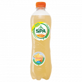 Spa Sinaasappel fruit koolzuurhoudend klein