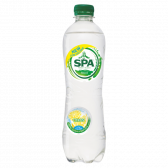 Spa Lemon fruit sparkling small