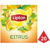 Lipton Citrus zwarte thee piramides