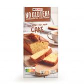 Delhaize Glutenvrije cakemix