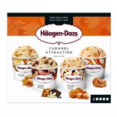Haagen-Dazs Caramel attraction ice cream (only available within Europe)