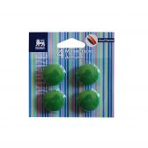 Delhaize Green magnets