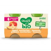 Olvarit Organic apple, banana and nectarine 2-pack (from 4 months)