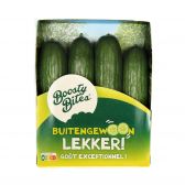 Boosty Bites Midi cucumber (at your own risk, no refunds applicable)