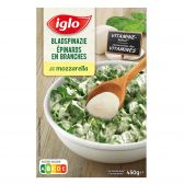 Iglo Leaf spinach with mozzarella (only available within Europe)
