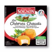 Soignon Warm bread-crumbed goat cheese (at your own risk, no refunds applicable)