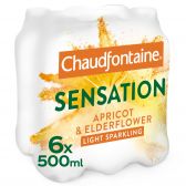 Chaudfontaine Infusion apricot and elderblossom intens water