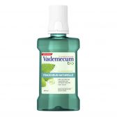 Vademecum Organic ecological natural fresh mouth wash