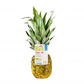 Delhaize Organic pineapple (at your own risk, no refunds applicable)