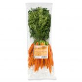 Delhaize Carrot (at your own risk, no refunds applicable)