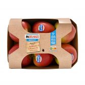 Delhaize Kanzi apples (at your own risk, no refunds applicable)