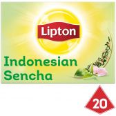Lipton Sencha groene thee piramides