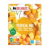 Delhaize Tropical fruit mix (only available within the EU)
