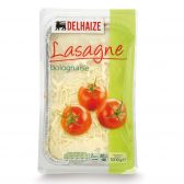 Delhaize Lasagne bolognese groot (voor uw eigen risico, geen restitutie mogelijk)