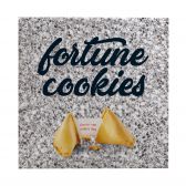 Vero Fortune koekjes zilver doosje