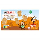 Delhaize Mini chocolate cookies