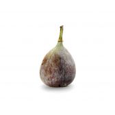 Delhaize Fresh fig (at your own risk, no refunds applicable)