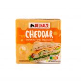 Delhaize Toasty chester kaas (voor uw eigen risico, geen restitutie mogelijk)