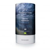 Teamasters Organic mint tea