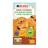 Delhaize Oat raisin cookies