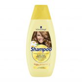 Schwarzkopf Frequence shampoo