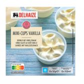 Delhaize Mini vanille roomijs cups (alleen beschikbaar binnen de EU)