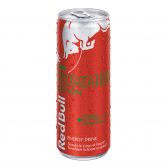 Red Bull Watermeloen zomer energie drank