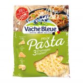 Vache Bleue Emmental, cheddar, talligiano geraspte kaas (voor uw eigen risico, geen restitutie mogelijk)
