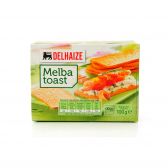 Delhaize Vierkante melba toasts