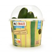 Delhaize Snack cucumbers (at your own risk, no refunds applicable)