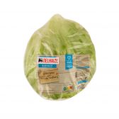 Delhaize Iceberg lettuce (at your own risk, no refunds applicable)