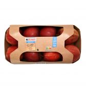 Delhaize Mini snack apples for kids (at your own risk, no refunds applicable)