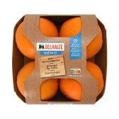Delhaize Oranges (at your own risk, no refunds applicable)