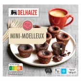 Delhaize Mini chocolade moelleux (alleen beschikbaar binnen de EU)