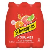 Schweppes Agrumes klein 6-pack