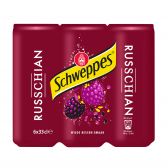 Schweppes Russian 6-pack