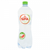 Spa Sparkling spring water kiwi large