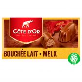 Cote d'Or Milk chocolate bouchees