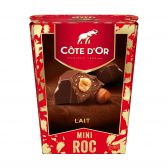 Cote d'Or Milk chocolate mini roc