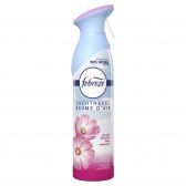 Febreze Blossom toilet spray (only available within the EU)