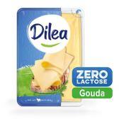 Dilea Gouda cheeses slices