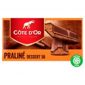 Cote d'Or Chocolade praline dessert 58 reep