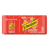 Schweppes Agrumes 12-pack