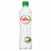 Spa Sparkling spring water kiwi small