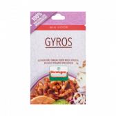 Verstegen Gyros mix small