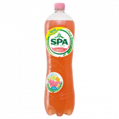 Spa Citrus fruit sparkling large